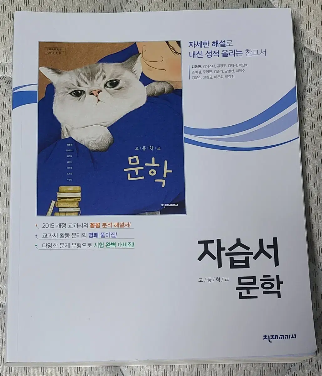 천재 교과서 문학 자습서