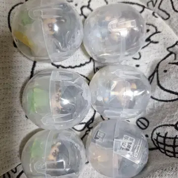 세부치 스와라세타이 묶음 판매