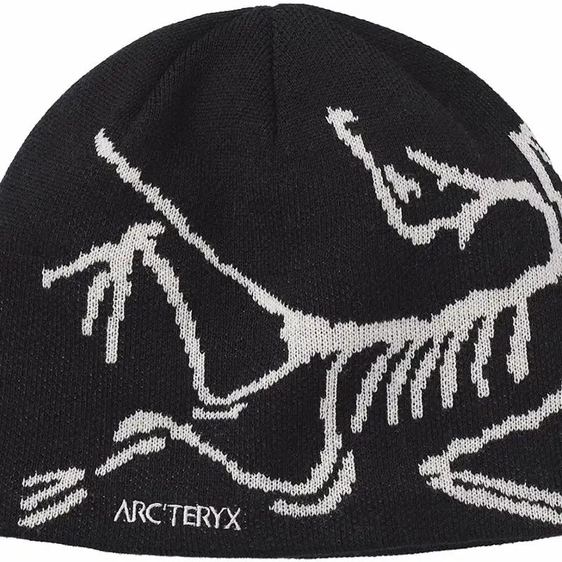 아크테릭스 Arcteryx 버드 헤드 토크