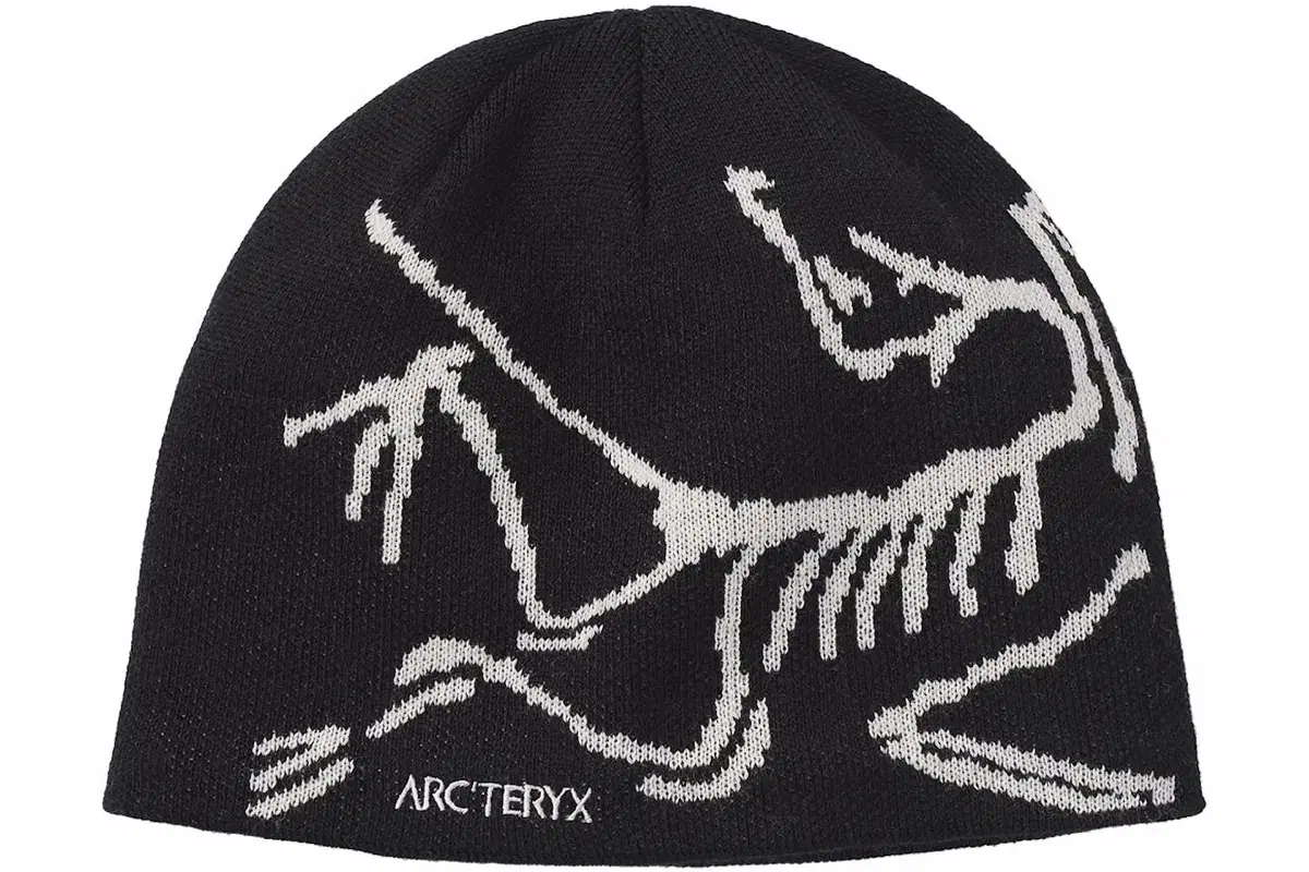 아크테릭스 Arcteryx 버드 헤드 토크