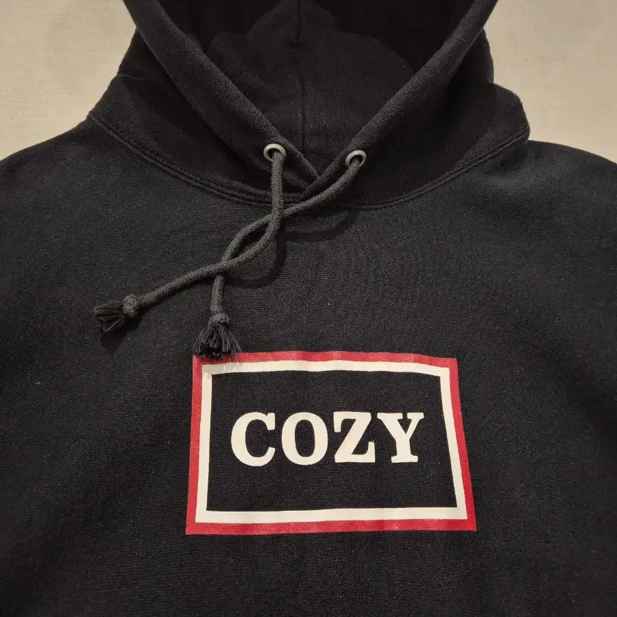 L~XL>TEAM COZY 챔피온 리버스위브 후드