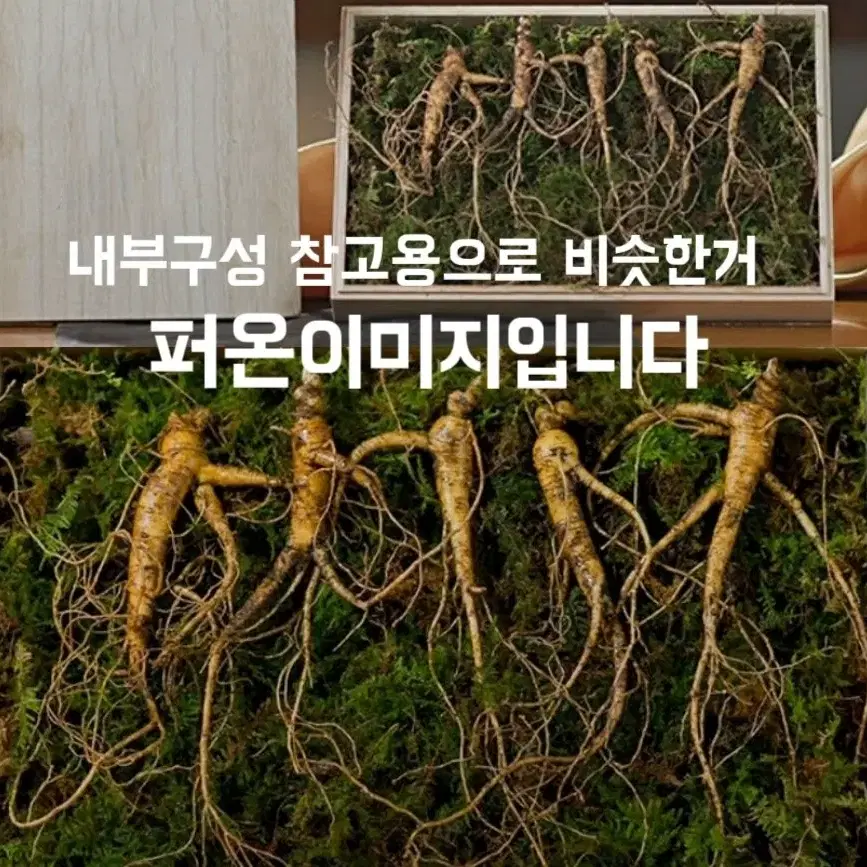 [명절선물] (저급아님) 장뇌삼 산양삼 인삼 저렴하게 가져가세요