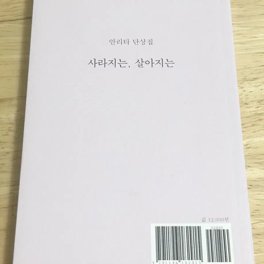 안리타 단상집 사라지는, 살아지는 책 시집