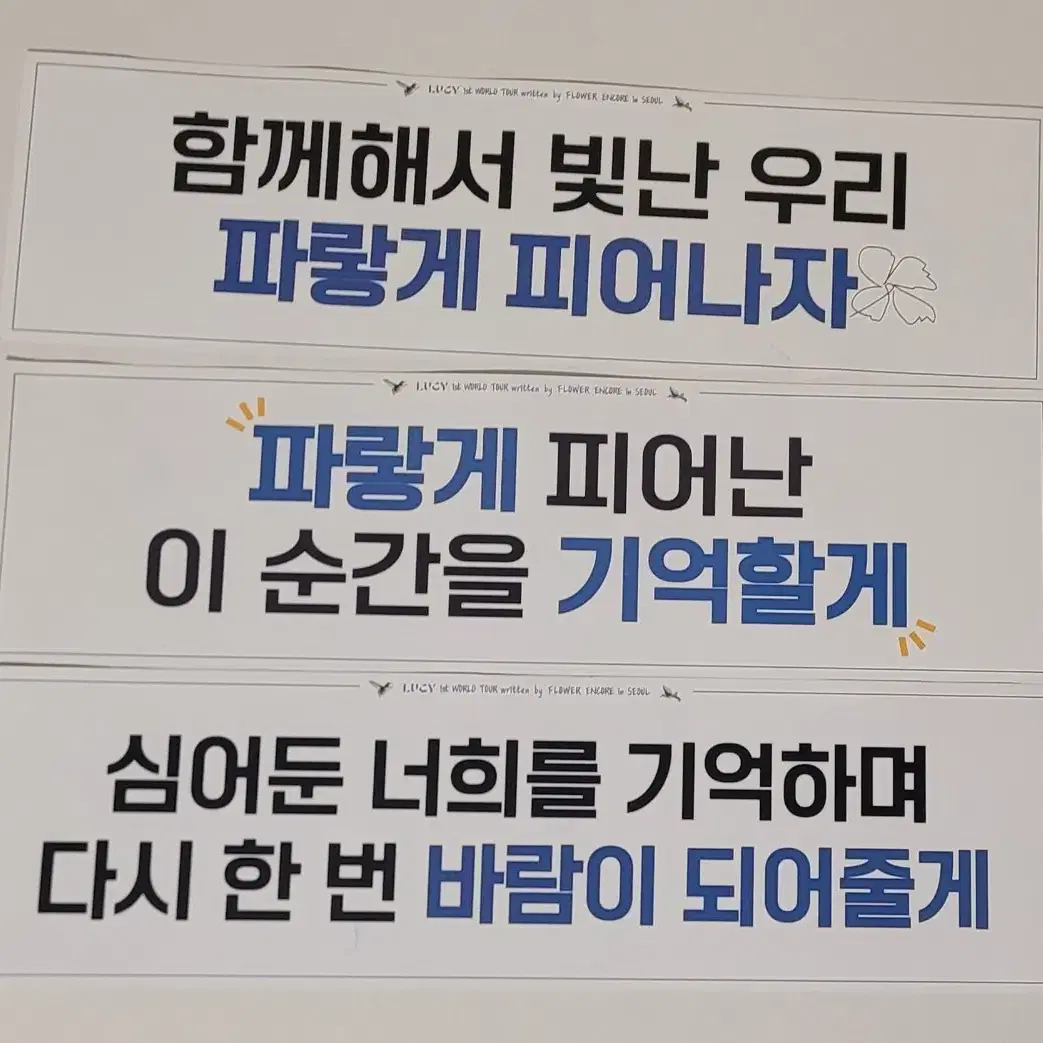 루시 플라워콘 앙콘 종이 이벤트 슬로건 일괄