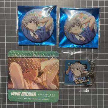 카라철 WIND BREAKER 윔블 배지 코스터 아크링 키링 우사귀산