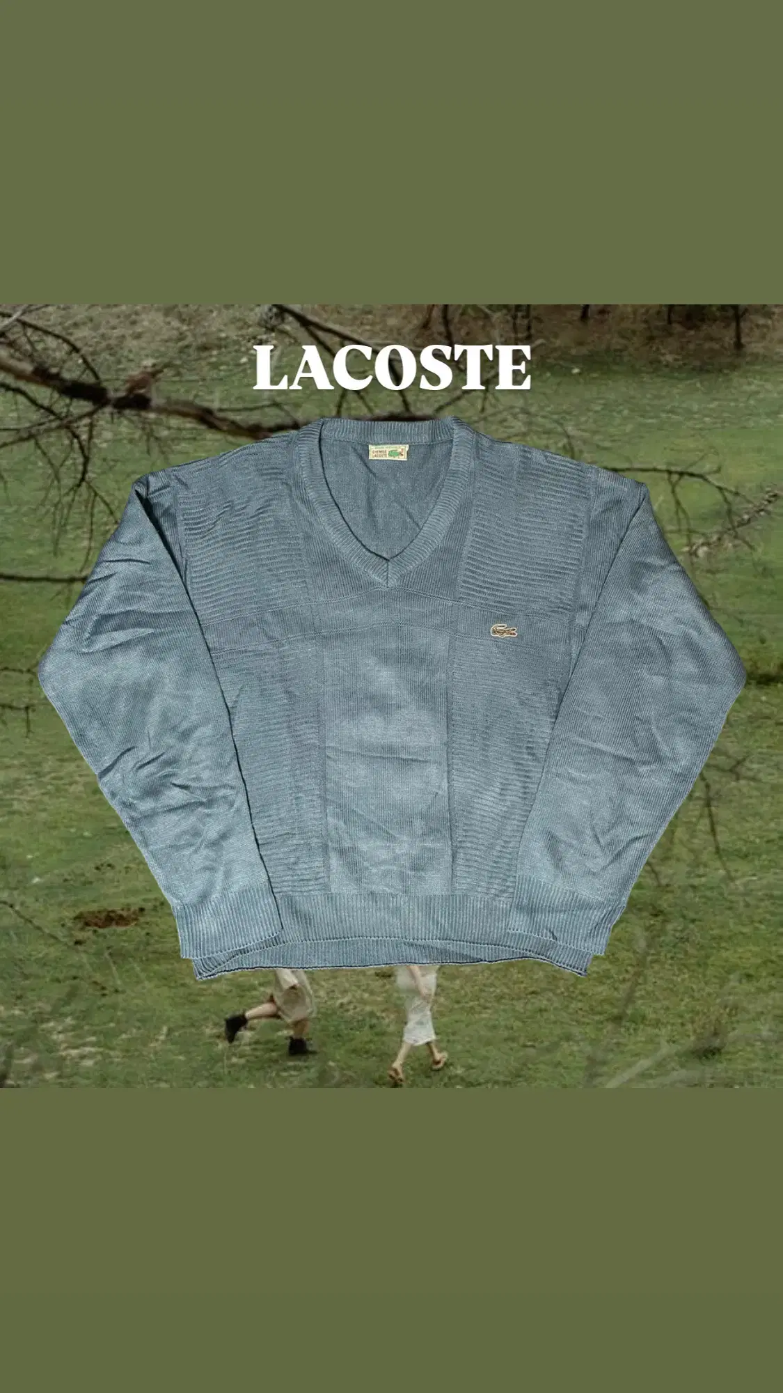 LACOSTE 브이넥 니트