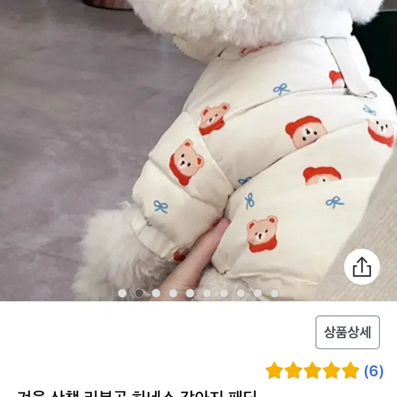 강아지 곰돌이패딩2XL