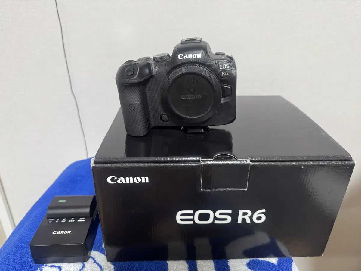 캐논 eos r6