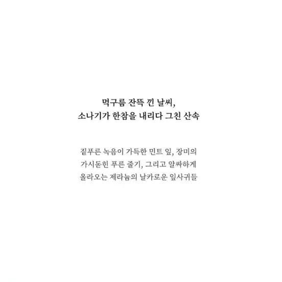 (미개봉새상품풀박스)딥디크 오드민떼 교환/판매