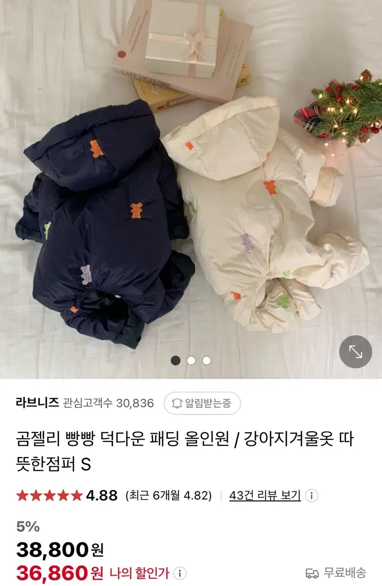 강아지 겨울 올인원 패딩