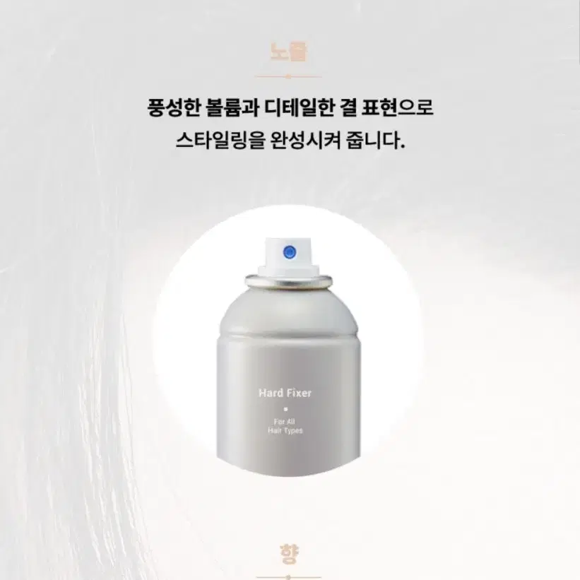 어네이즈 하드 픽서 헤어픽서 머리픽서 250ml