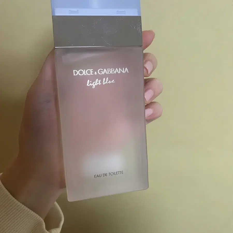 돌체앤가바나 라이트 블루 100ml 국문택