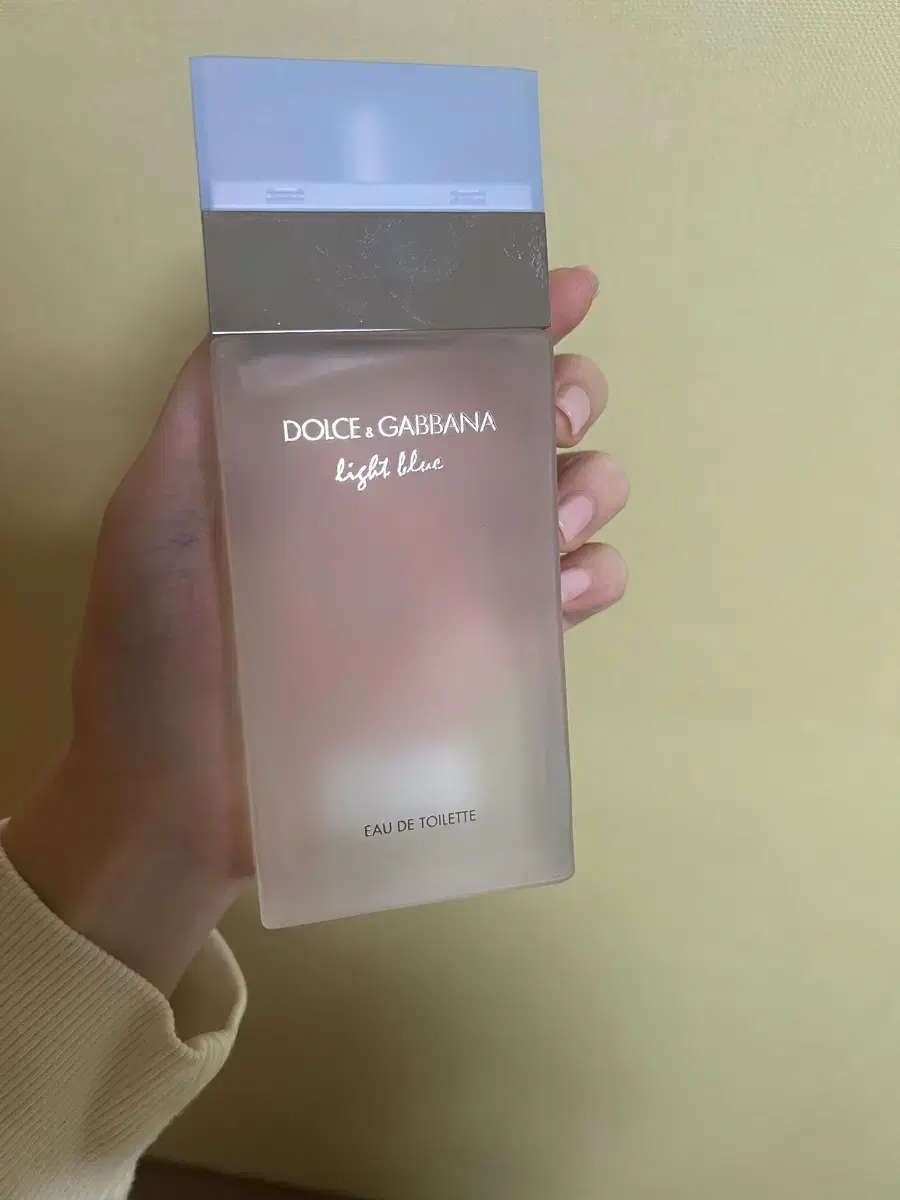 돌체앤가바나 라이트 블루 100ml 국문택