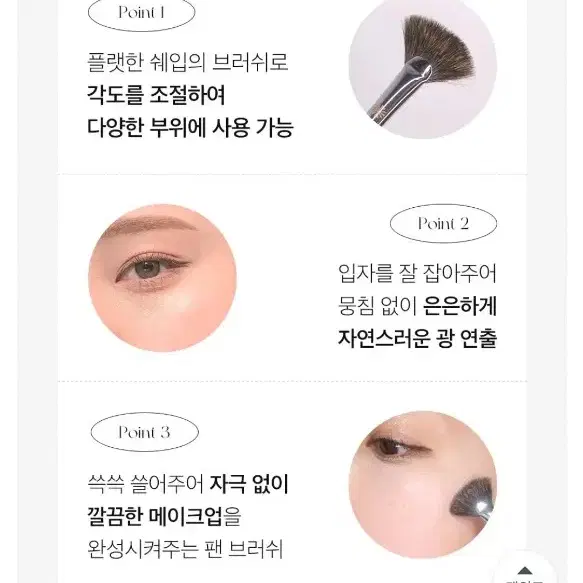 피카소 259 팬 하이라이터 브러쉬