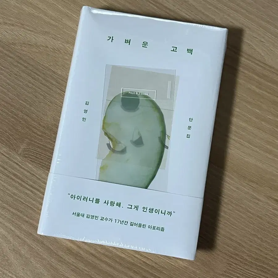 이옥토 청사과 풋사과 책갈피