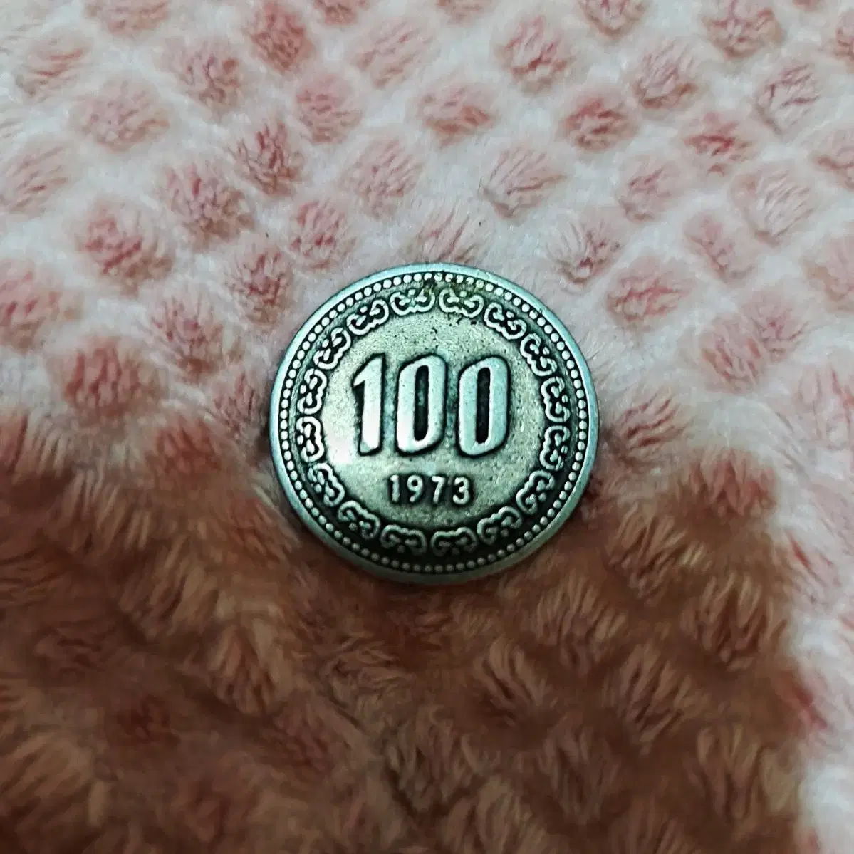 {1973년 100원동전}