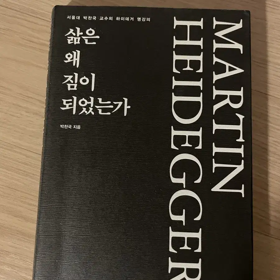 하이데거 삶은 왜 짐이 되었는가 책