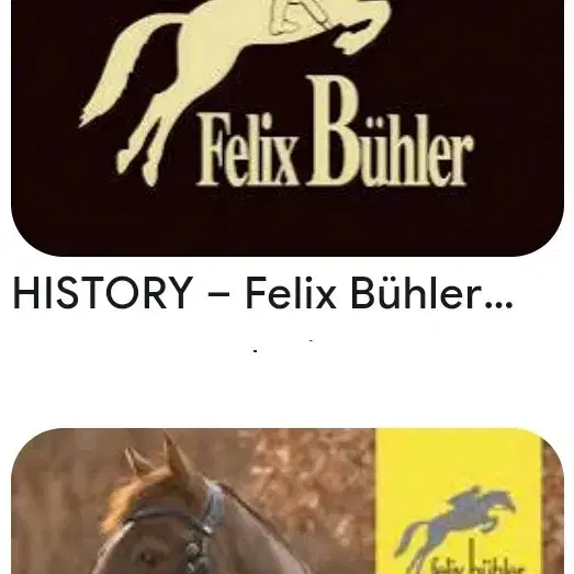 Felix Buhler 빈티지 실크 스카프