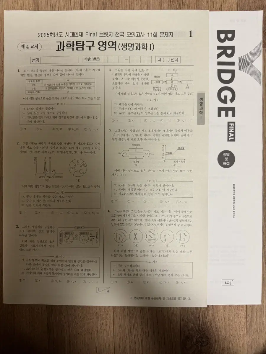 2025 시대인재 Final 브릿지 전국 모의고사 11&12회