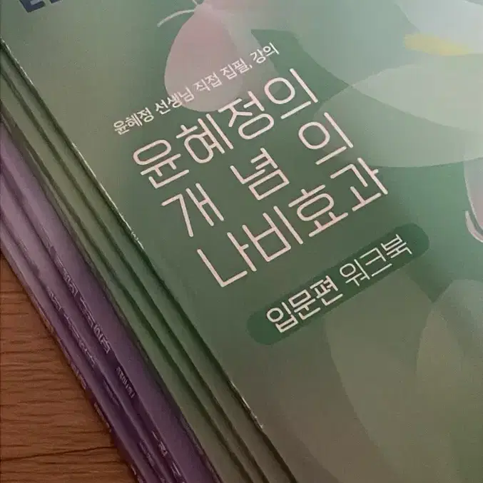 EBS 윤혜정의 개념의 나비효과 입문편 교재 워크북 2024