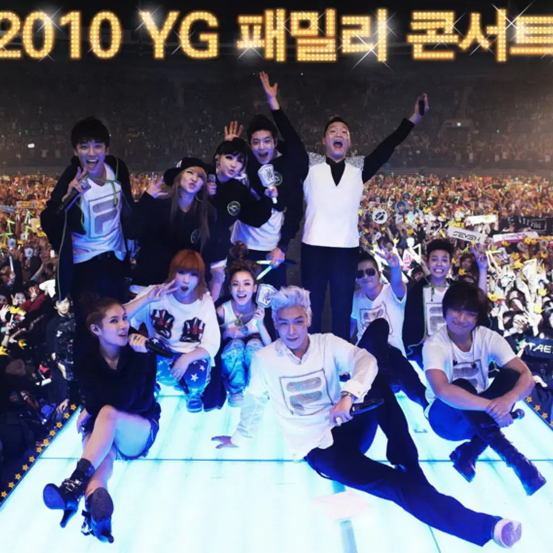 2011 한정판 15주년 YG 패밀리 콘서트 공식 망토/담요