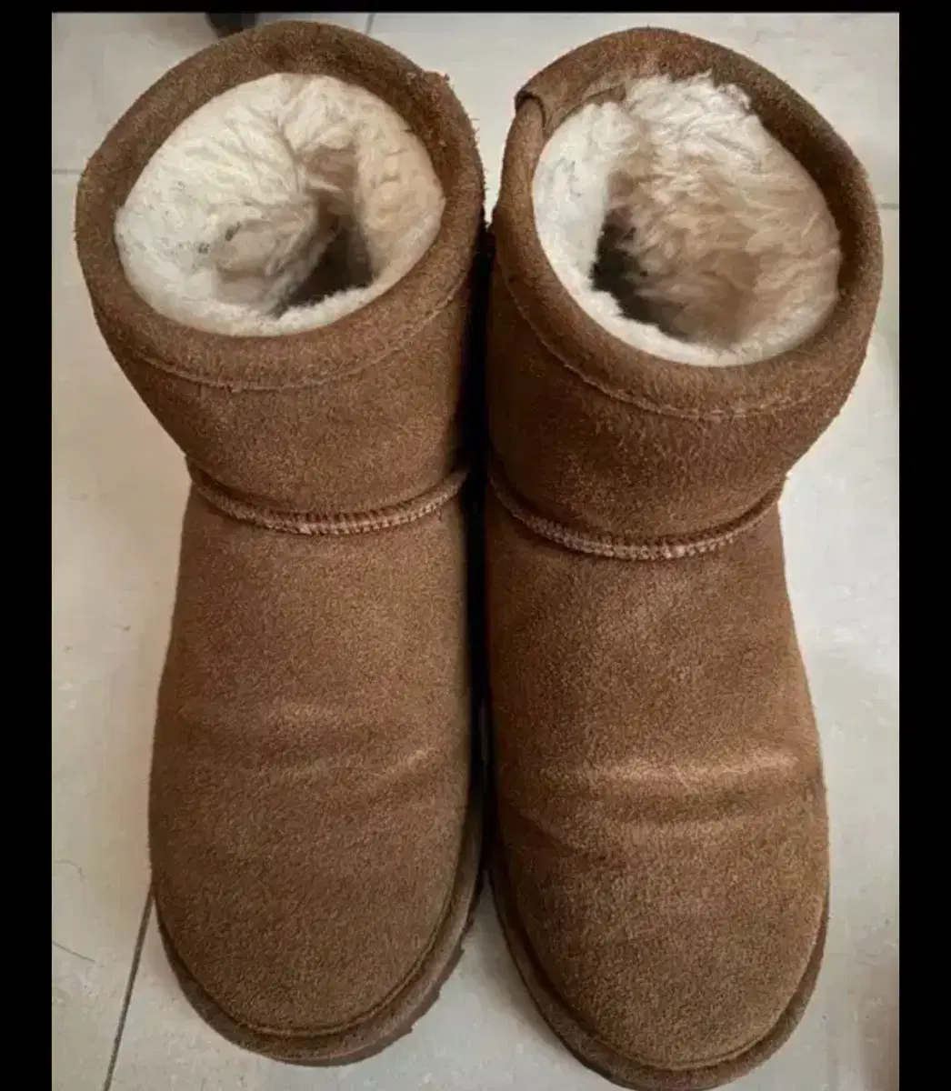 Final Price) Bear Paw 230 Size Ugg Boots