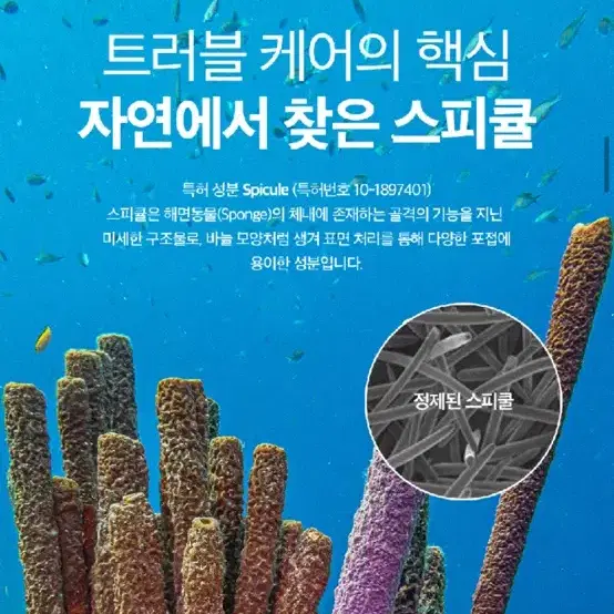 (새상품) 퓨리피아 이레이져 플러스 클린 젤 30ml 여드름 흉터 크림