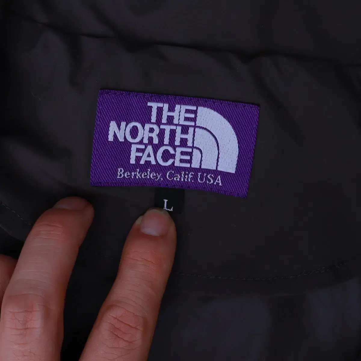 The North Face 노스페이스 퍼플라벨 마운트 윈드파카 바람막이L