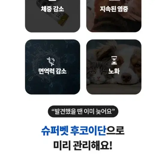 강아지 고양이 심장영양제 항산화 항노화 후코이단 영양제