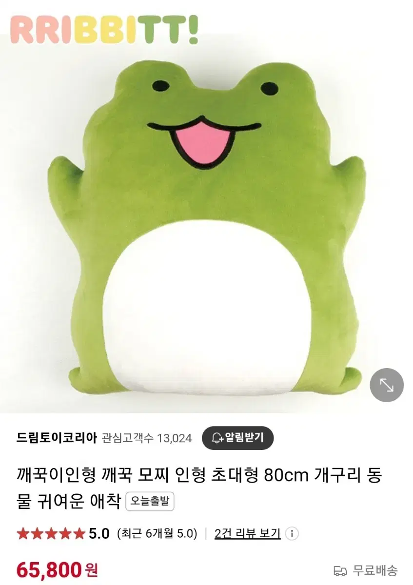 깨꾹이 개구리 대형 인형 50cm