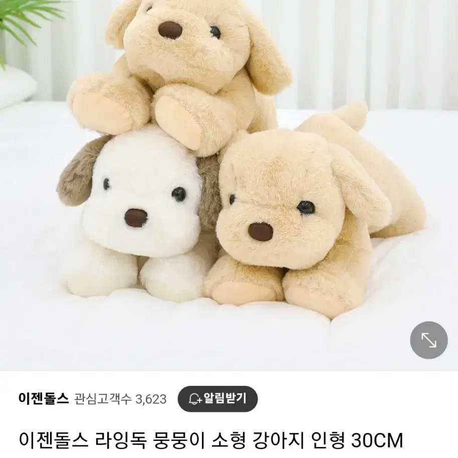 이젠돌스 뭉뭉이 강아지 인형 30cm