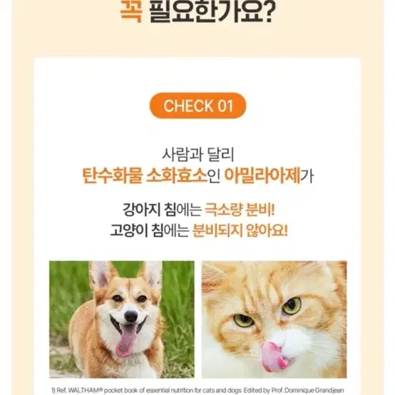 대웅펫 강아지 고양이 소화 영양제 베아제펫 2gx20포