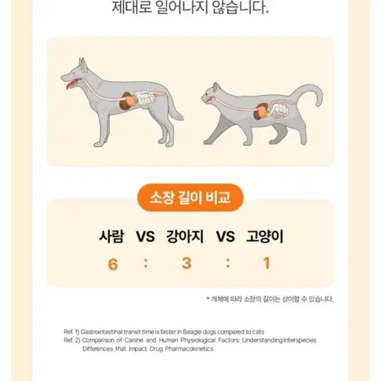 대웅펫 강아지 고양이 소화 영양제 베아제펫 2gx20포