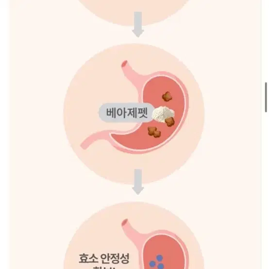 대웅펫 강아지 고양이 소화 영양제 베아제펫 2gx20포