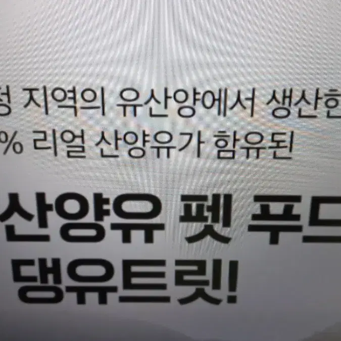 반려동물 건강간식