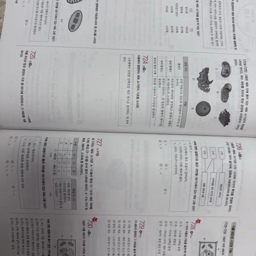 개정 통합과학 과탐 내신 완자 기출문제집