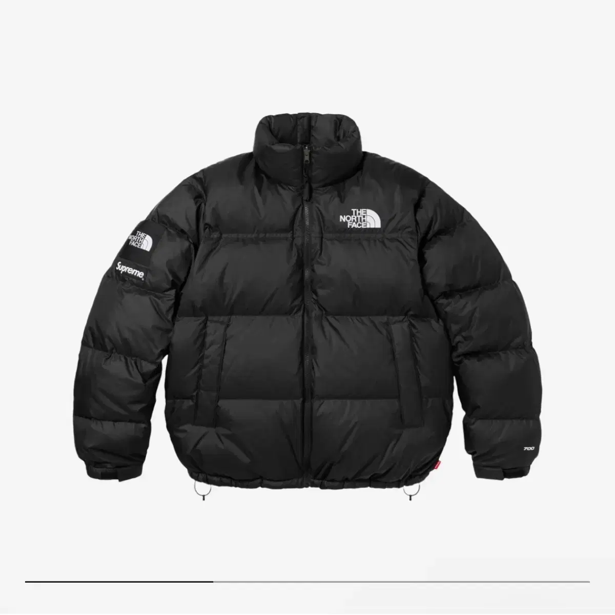 [새상품] Supreme x The North Face Split Nup