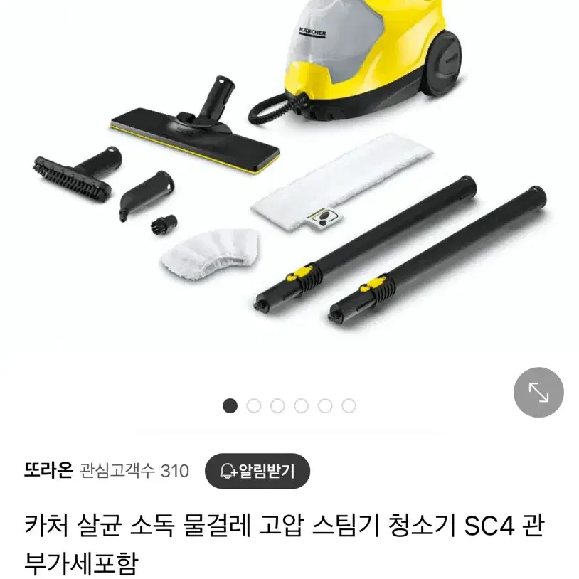 카처 스팀기 청소기