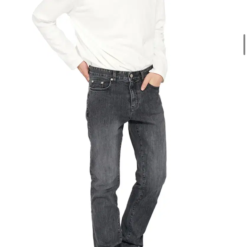 덴메이드 -DEN2106 brush black slim long (L)