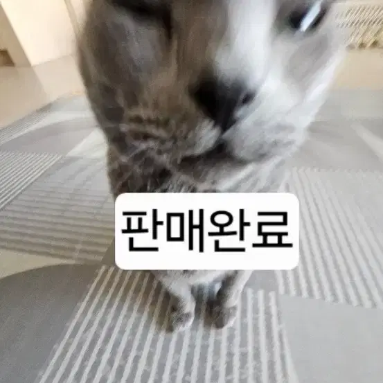 판완