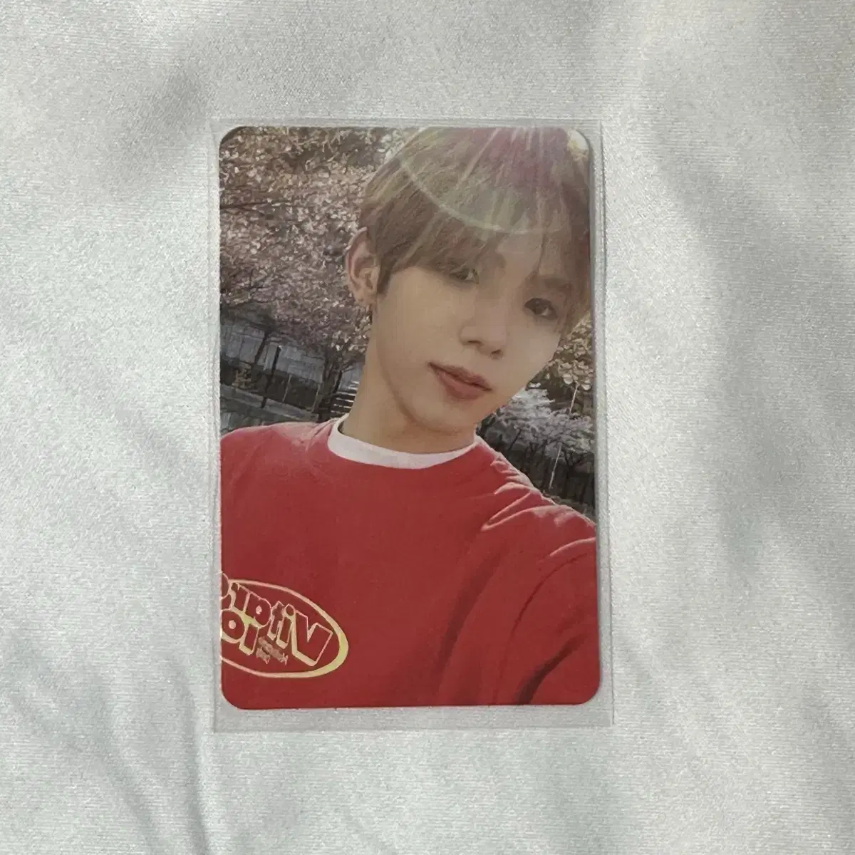 CCOMAZ trading card 쇼타로