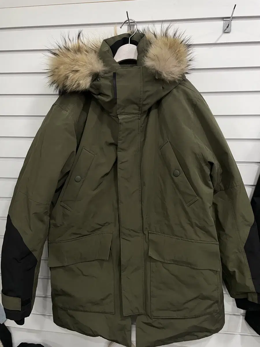 GIORDANO L size duck down down jacket