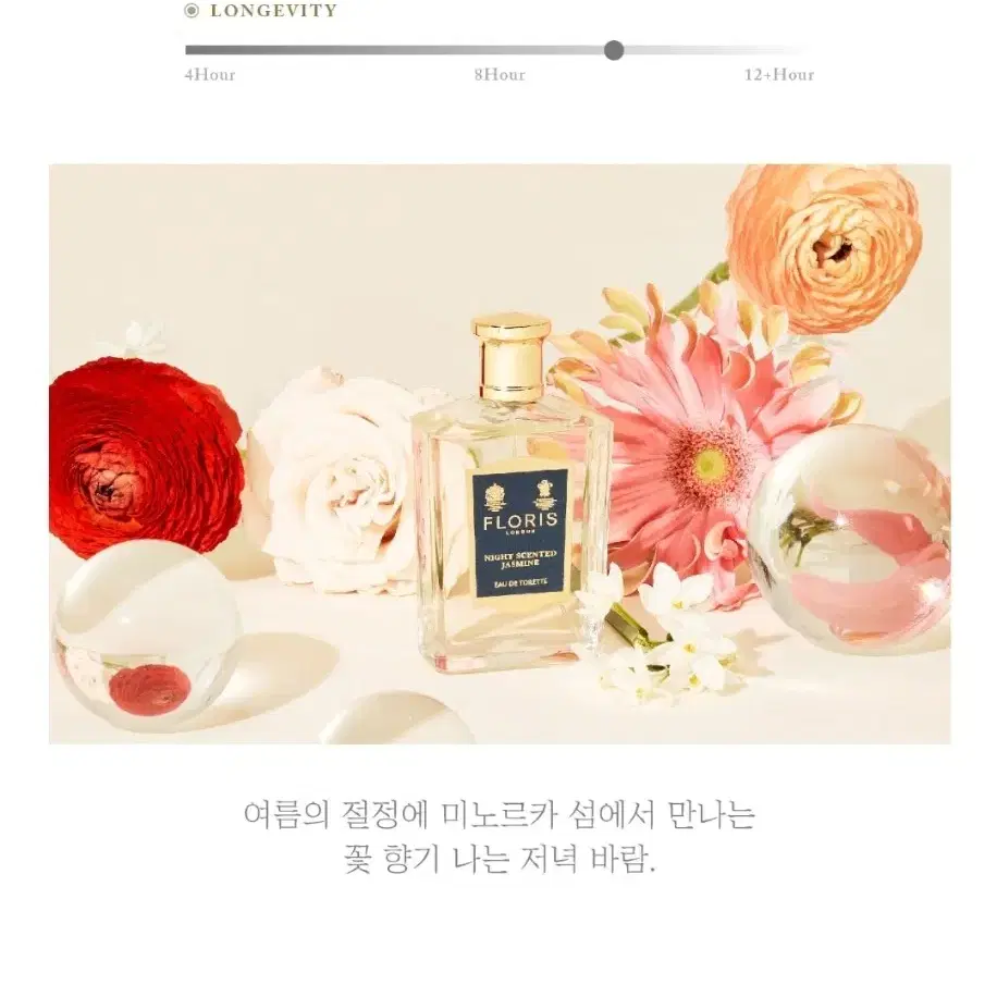 플로리스 런던 향수 나이트 센티드 자스민 100ml 국문택