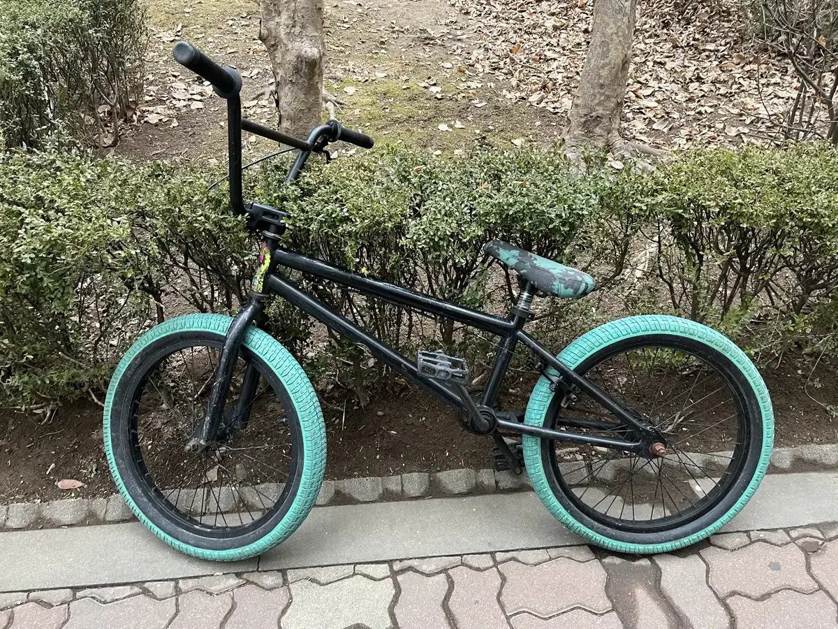 stolen bike BMX 원가60