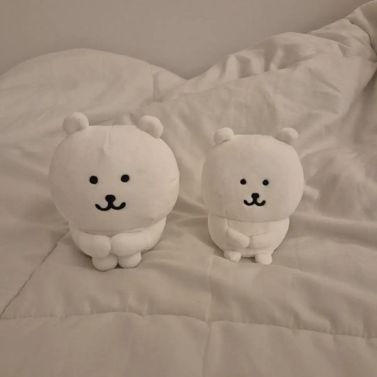 체육 앉은 꼬옥 농담곰