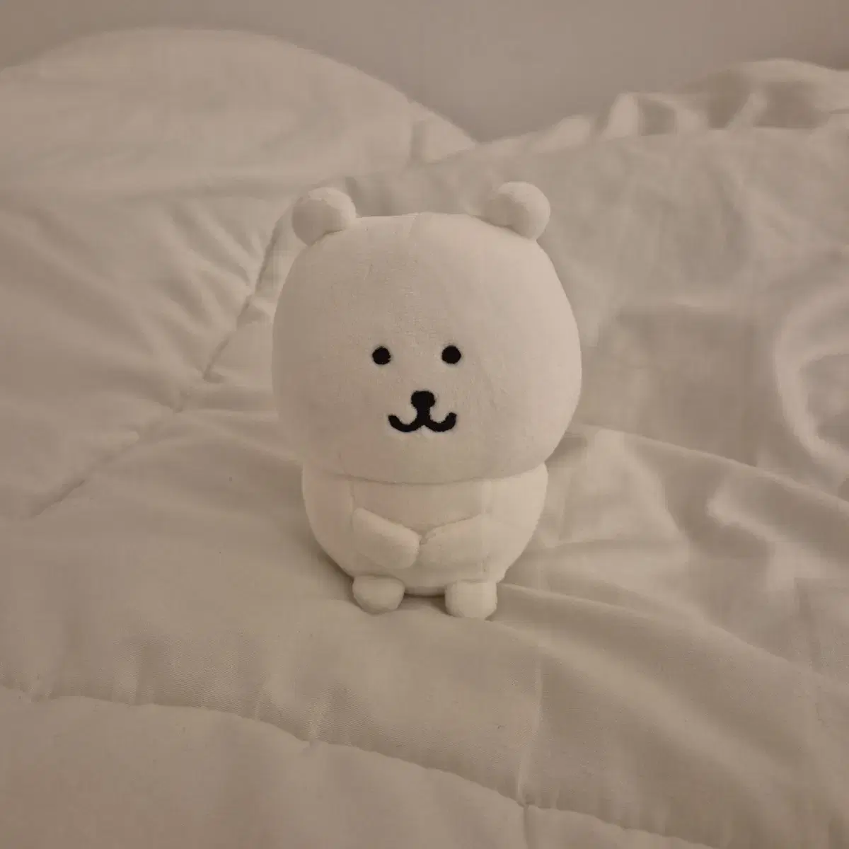 체육 앉은 꼬옥 농담곰