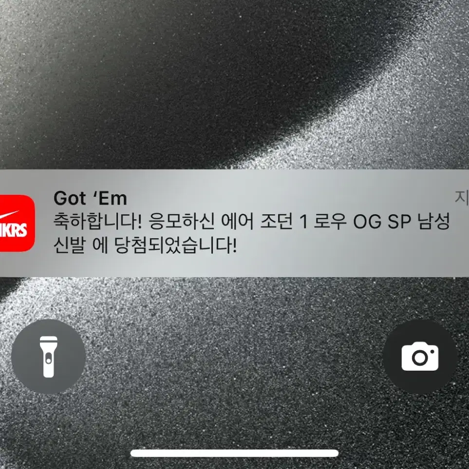 스캇 280 벨벳 브라운