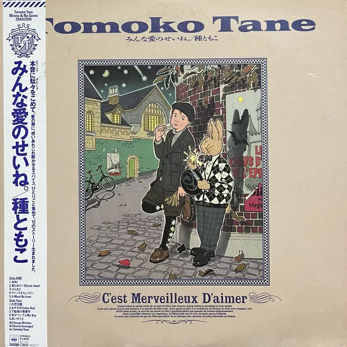 토모코 타네 Tomoko Tane- 모두 사랑때문이네 lp