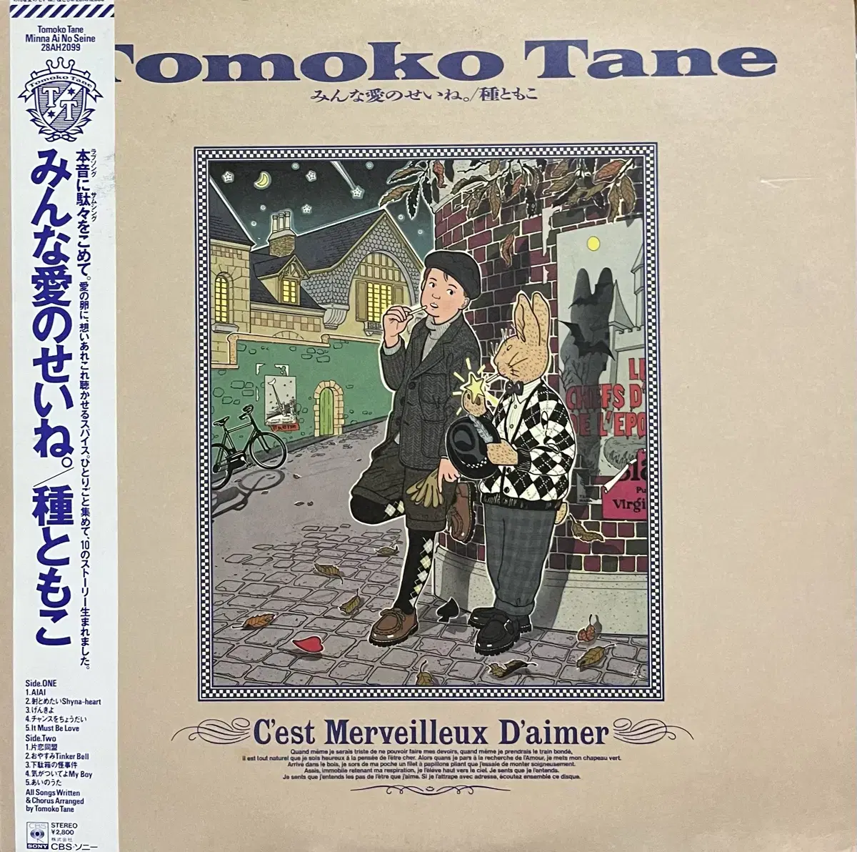 토모코 타네 Tomoko Tane- 모두 사랑때문이네 lp