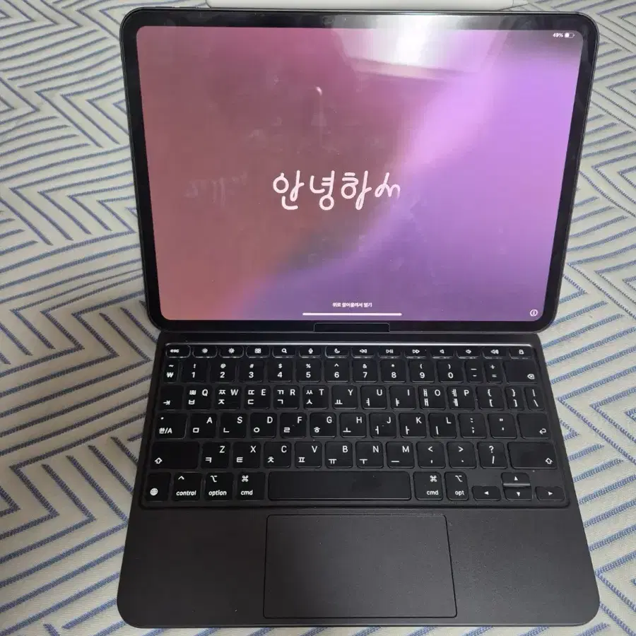 아이패드 프로 11 / M4칩 512 셀룰러 (S급)